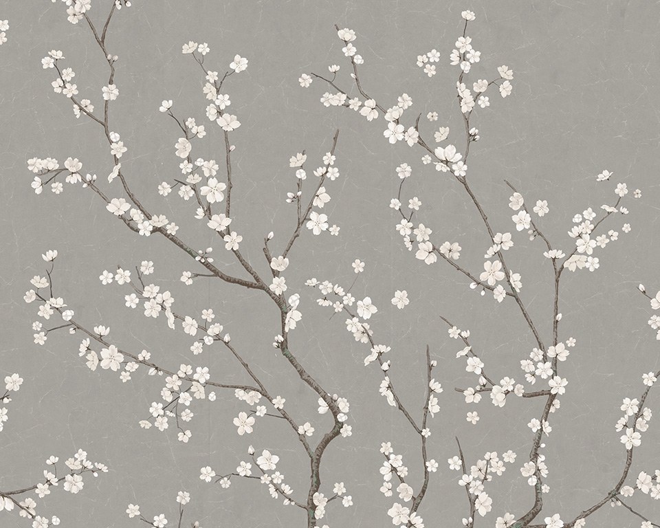 Sakura_Grigio caldo - Carta da parati